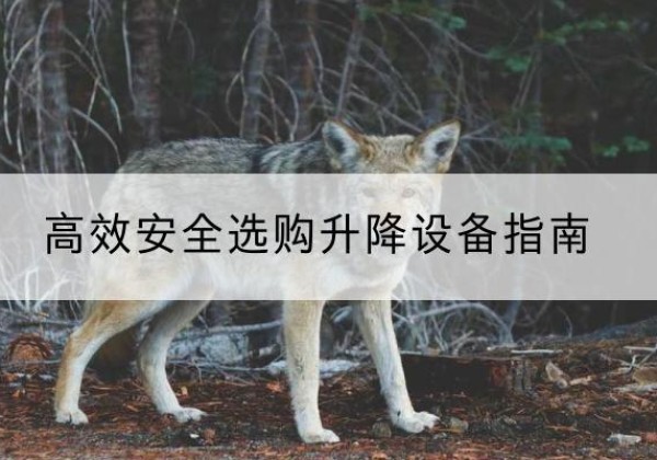 兰陵升降货梯厂家推荐-*安全选购升降设备指南