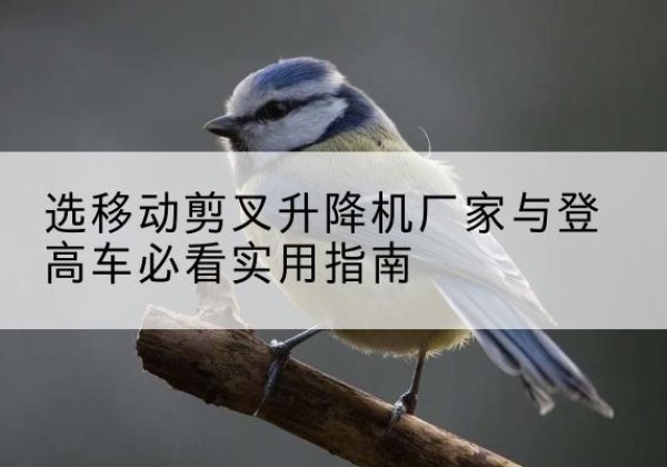 兰陵电动升降机厂家-选移动剪叉升降机厂家与登高车必看实用指南