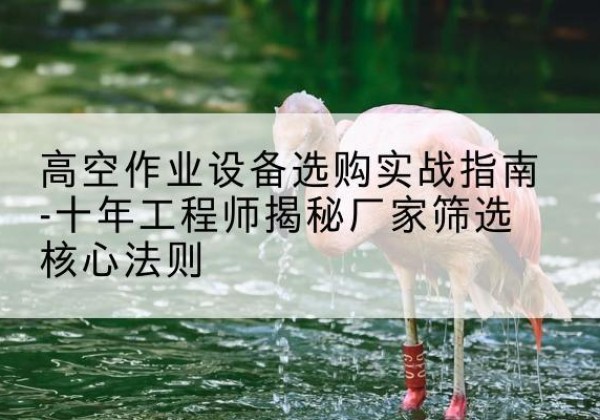 兰陵剪叉式升降机厂家-高空作业设备选购实战指南-十年工程师揭秘厂家筛选核心法则
