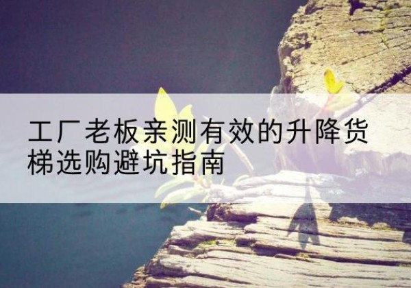 兰陵升降货梯怎么选-工厂老板亲测有效的升降货梯选购避坑指南